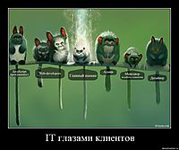 IT глазами клиентов 