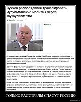 ТОЛЬКО РАССТРЕЛЫ СПАСУТ РОССИЮ 