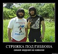 СТРИЖКА ПОД ГИББОНА