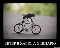 ВЕТЕР В ХАРЮ, А Я ШПАРЮ 
