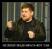 ОСЛИЦУ НАДО БРАТЬ ВОТ ТАК 