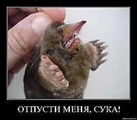 ОТПУСТИ МЕНЯ, СУКА! 