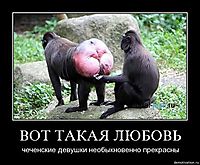 ВОТ ТАКАЯ ЛЮБОВЬ чеченские девушки необыкновенно прекрасны