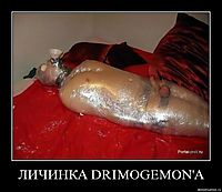 ЛИЧИНКА DRIMOGEMON'A 