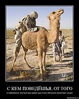 С КЕМ ПОВЕДЁШЬЯ, ОТ ТОГО и наберёшься. инструкторы армии сша после обучения грузинских солдат