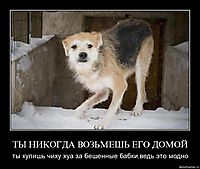 ТЫ НИКОГДА ВОЗЬМЕШЬ ЕГО ДОМОЙ ты купишь чиху хуа за бешенные бабки,ведь это модно