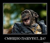 СМИЩНО ПАШУТИЛ, ДА? 