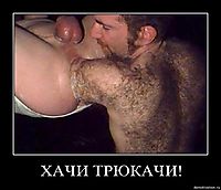 ХАЧИ ТРЮКАЧИ! 