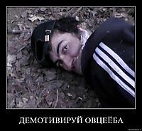 ДЕМОТИВИРУЙ ОВЦЕЁБА 