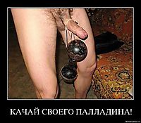 КАЧАЙ СВОЕГО ПАЛЛАДИНА! 