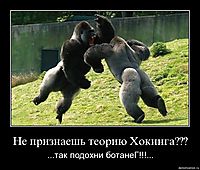 Не признаешь теорию Хокинга??? ...так подохни ботанеГ!!!...