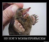 НУ НЭТ У МЭНЫ ПРОПЫСКЫ 