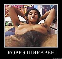 КОВРЭ ШИКАРЕН 