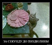 ЗА СЕКУНДУ ДО ПИЗДЮЛИНЫ 