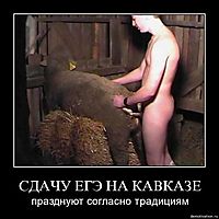 СДАЧУ ЕГЭ НА КАВКАЗЕ празднуют согласно традициям