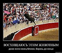 ВОСХИЩАЮСЬ ЭТИМ ЖИВОТНЫМ даже если конец близок, борись до конца