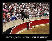 НЕ ОЖИДАЛИ, ИСПАШКИ ЕБАНЫЕ? 