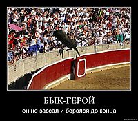 БЫК-ГЕРОЙ он не зассал и боролся до конца