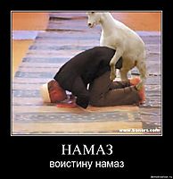 НАМАЗ воистину намаз