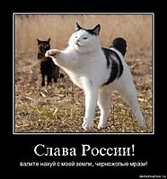 Слава России! валите нахуй с моей земли, черножопые мрази!