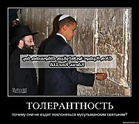 ТОЛЕРАНТНОСТЬ почему они не ездят поклоняться мусульманским святыням?
