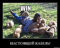 НАСТОЯЩИЙ КАБЕЛЬ! 