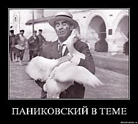 ПАНИКОВСКИЙ В ТЕМЕ