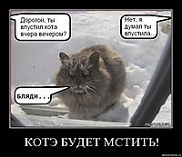 КОТЭ БУДЕТ МСТИТЬ! 