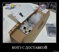 КОТЭ С ДОСТАВКОЙ 