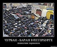 ЧУРБАН - БАРАН В ПЕТЕРБУРГЕ нашествие тараканов