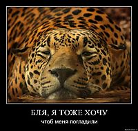 БЛЯ, Я ТОЖЕ ХОЧУ