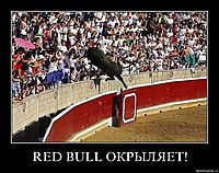RED BULL ОКРЫЛЯЕТ! 