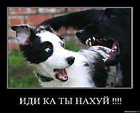 ИДИ КА ТЫ НАХУЙ !!!! 
