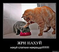 ЖРИ НАХУЙ нехуй слатким нажраццо!!!!!!!!!