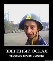 ЗВЕРИНЫЙ ОСКАЛ укрского милитаризма