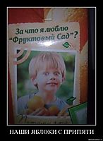 НАШИ ЯБЛОКИ С ПРИПЯТИ 