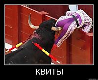 КВИТЫ 