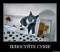 ПЛЮСУЙТЕ СУКИ! 