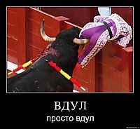 ВДУЛ просто вдул