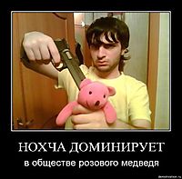 НОХЧА ДОМИНИРУЕТ в обществе розового медведя