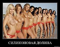 СИЛИКОНОВАЯ ДОЛИНА 