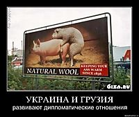 УКРАИНА И ГРУЗИЯ развивают дипломатические отношения