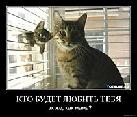 КТО БУДЕТ ЛЮБИТЬ ТЕБЯ так же, как мама?