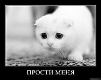 ПРОСТИ МЕНЯ 