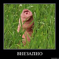 ВНЕЗАПНО 