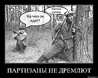 ПАРТИЗАНЫ НЕ ДРЕМЛЮТ 