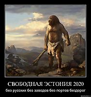 СВОБОДНАЯ ЭСТОНИЯ 2020 без русских без заводов без портов бездорог