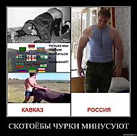 СКОТОЁБЫ ЧУРКИ МИНУСУЮТ 
