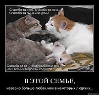 В ЭТОЙ СЕМЬЕ, наверно больше любви,чем в некоторых людских...