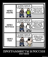 ПРОГРАММИСТЫ В РОССИИ они такие